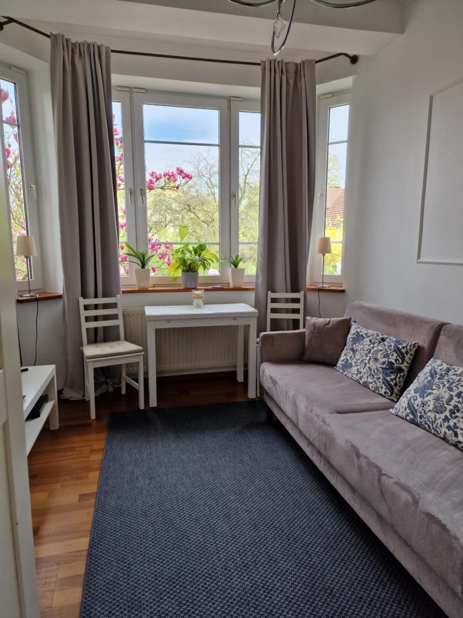 Apartament Magnolia 索波特 外观 照片