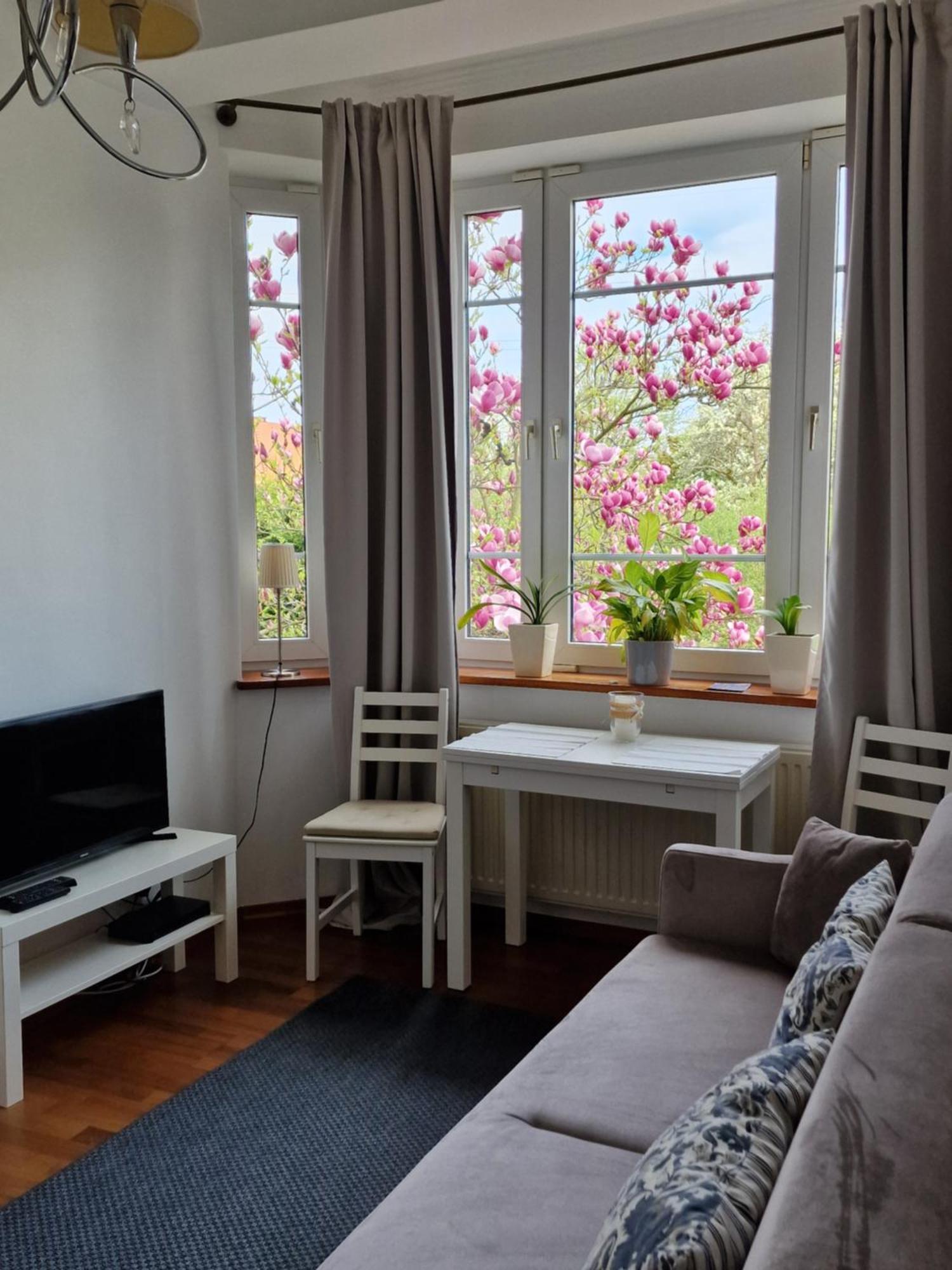 Apartament Magnolia 索波特 外观 照片