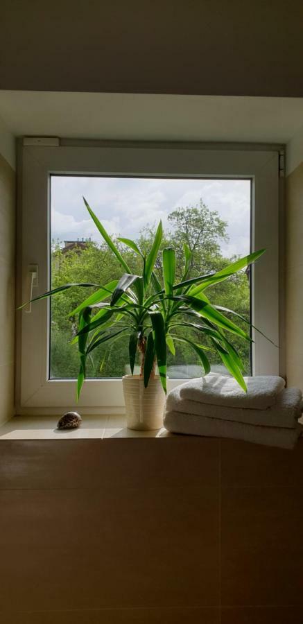 Apartament Magnolia 索波特 外观 照片